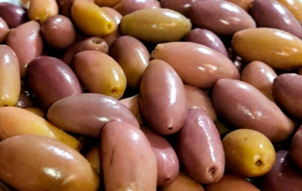 زيتون دولسي شكولاته | Dolce Chocolate Olives